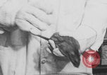 Image of laboratory rats United States USA, 1971, second 1 stock footage video 65675079014