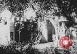 Image of Indian rhesus monkeys India, 1971, second 1 stock footage video 65675079015