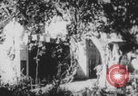 Image of Indian rhesus monkeys India, 1971, second 3 stock footage video 65675079015