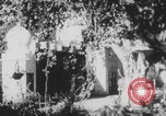 Image of Indian rhesus monkeys India, 1971, second 4 stock footage video 65675079015