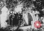 Image of Indian rhesus monkeys India, 1971, second 5 stock footage video 65675079015