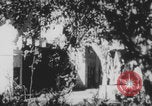 Image of Indian rhesus monkeys India, 1971, second 18 stock footage video 65675079015