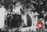 Image of Indian rhesus monkeys India, 1971, second 19 stock footage video 65675079015