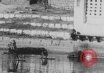 Image of Indian rhesus monkeys India, 1971, second 21 stock footage video 65675079015