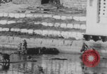 Image of Indian rhesus monkeys India, 1971, second 22 stock footage video 65675079015