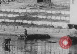 Image of Indian rhesus monkeys India, 1971, second 25 stock footage video 65675079015