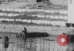 Image of Indian rhesus monkeys India, 1971, second 26 stock footage video 65675079015