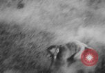 Image of Indian rhesus monkeys India, 1971, second 59 stock footage video 65675079015
