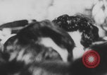 Image of crowds  United States USA, 1971, second 32 stock footage video 65675079016