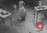 Image of children fighting playroom United States USA, 1971, second 16 stock footage video 65675079018