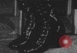 Image of Woman in go go boots and mini skirt London England United Kingdom, 1969, second 1 stock footage video 65675079020