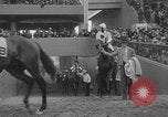 Image of Santa Anita Park horse race Arcadia California USA, 1938, second 11 stock footage video 65675079047