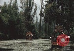 Immagine di Canali Xochimilco Città del Messico Messico, 1962, secondo 3 filmato di repertorio 65675079064