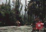 Immagine di Canali Xochimilco Città del Messico Messico, 1962, secondo 4 filmato di repertorio 65675079064