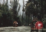 Immagine di Canali Xochimilco Città del Messico Messico, 1962, secondo 5 filmato di repertorio 65675079064