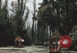 Immagine di Canali Xochimilco Città del Messico Messico, 1962, secondo 8 filmato di repertorio 65675079064