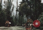 Immagine di Canali Xochimilco Città del Messico Messico, 1962, secondo 9 filmato di repertorio 65675079064