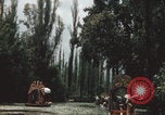 Immagine di Canali Xochimilco Città del Messico Messico, 1962, secondo 10 filmato di repertorio 65675079064