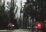 Immagine di Canali Xochimilco Città del Messico Messico, 1962, secondo 11 filmato di repertorio 65675079064