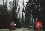Immagine di Canali Xochimilco Città del Messico Messico, 1962, secondo 12 filmato di repertorio 65675079064