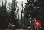 Immagine di Canali Xochimilco Città del Messico Messico, 1962, secondo 13 filmato di repertorio 65675079064