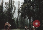 Immagine di Canali Xochimilco Città del Messico Messico, 1962, secondo 14 filmato di repertorio 65675079064