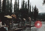 Immagine di Canali Xochimilco Città del Messico Messico, 1962, secondo 34 filmato di repertorio 65675079064