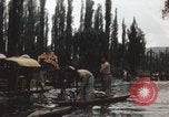 Immagine di Canali Xochimilco Città del Messico Messico, 1962, secondo 35 filmato di repertorio 65675079064