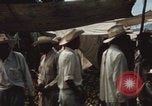 Image of Mexican market Mexico, 1962, second 39 stock footage video 65675079065