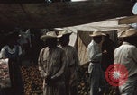 Image of Mexican market Mexico, 1962, second 40 stock footage video 65675079065