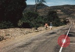 Image of Mexican harvest Mexico, 1962, second 23 stock footage video 65675079067