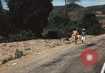 Image of Mexican harvest Mexico, 1962, second 35 stock footage video 65675079067