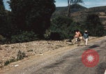 Image of Mexican harvest Mexico, 1962, second 36 stock footage video 65675079067