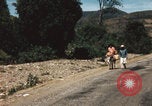 Image of Mexican harvest Mexico, 1962, second 38 stock footage video 65675079067