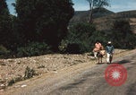 Image of Mexican harvest Mexico, 1962, second 39 stock footage video 65675079067