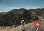 Image of Mexican harvest Mexico, 1962, second 50 stock footage video 65675079067