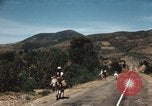 Image of Mexican harvest Mexico, 1962, second 52 stock footage video 65675079067