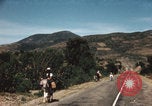 Image of Mexican harvest Mexico, 1962, second 53 stock footage video 65675079067