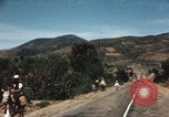 Image of Mexican harvest Mexico, 1962, second 57 stock footage video 65675079067