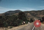 Image of Mexican harvest Mexico, 1962, second 61 stock footage video 65675079067