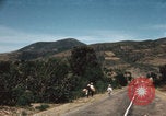 Image of Mexican harvest Mexico, 1962, second 62 stock footage video 65675079067