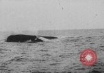 Image of Woodrow Wilson Europe, 1918, second 14 stock footage video 65675079073