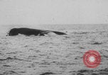 Image of Woodrow Wilson Europe, 1918, second 15 stock footage video 65675079073