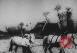 Image of Franklin Delano Roosevelt Washington DC USA, 1933, second 31 stock footage video 65675079087