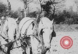 Image of Franklin Delano Roosevelt Washington DC USA, 1933, second 33 stock footage video 65675079087