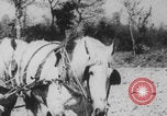 Image of Franklin Delano Roosevelt Washington DC USA, 1933, second 34 stock footage video 65675079087