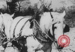 Image of Franklin Delano Roosevelt Washington DC USA, 1933, second 35 stock footage video 65675079087