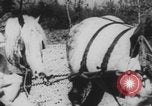 Image of Franklin Delano Roosevelt Washington DC USA, 1933, second 36 stock footage video 65675079087