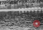 Image of Harvard Crimson Cambridge Massachusetts USA, 1903, second 62 stock footage video 65675079089