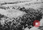 Image of WW1 Europe mobilization New York City USA, 1914, second 11 stock footage video 65675079092